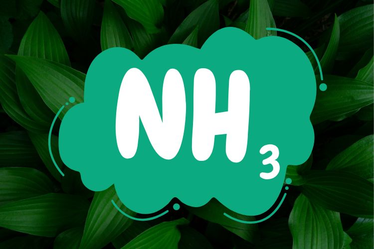 Green Ammonia