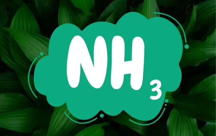 Green Ammonia