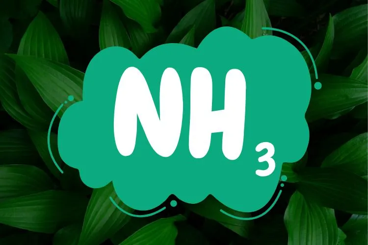 Green Ammonia